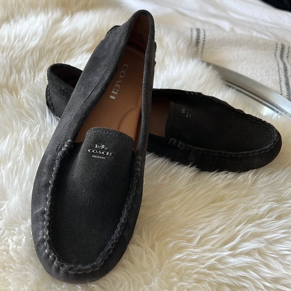 Coach Driving Loafers